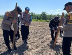 Polres Dumai Tanam Jagung Perdana di Kuartal IV, Bantu Stabilkan Ketahanan Pangan Lokal!