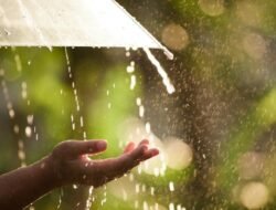 Hati-Hati! BMKG Peringatkan Jakarta Akan Dilanda Hujan Lebat Siang-Malam Ini, Sedia Payung!