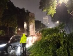 Pohon Tumbang di Depan GBK Arena, Lalin Tersendat! Apakah Anda Siap?