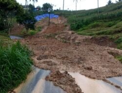 Bencana Longsor 100 Meter Tenggelamkan Lalu Lintas, Petugas Sibuk Amankan Wilayah via Pagerwojo