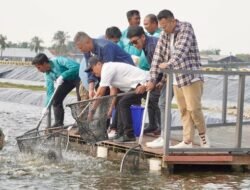 Menteri KP dan Raffi Cs Ke BINS: Pemuda Wajib Jadi Pakar Budidaya Perikanan!