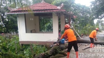 Hujan Angin Meneror Cibinong, 3 Rumah Terpukul Pohon Tumbang