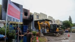 KLH Afirmasi: Asap Pestisida Sudah Hilang, Bau Berkurang Drastis!