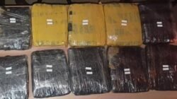 Polda Metro Tangkap 3 Pria di Tanah Abang, Sita Ganja 15,5 Kilogram dalam Operasi Cepat