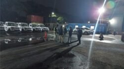 Disuruh Tunda Impor Dulu, Begini Nasib Pick Up India yang Sudah Tiba di RI: Dilema Industri Otomotif Indonesia