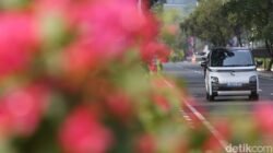“Dari Nol hingga Fenomenal: Wuling Air EV, Pilihanku saat Mudik! Ada Saja yang Pakai, Siapin Strategi Ini”